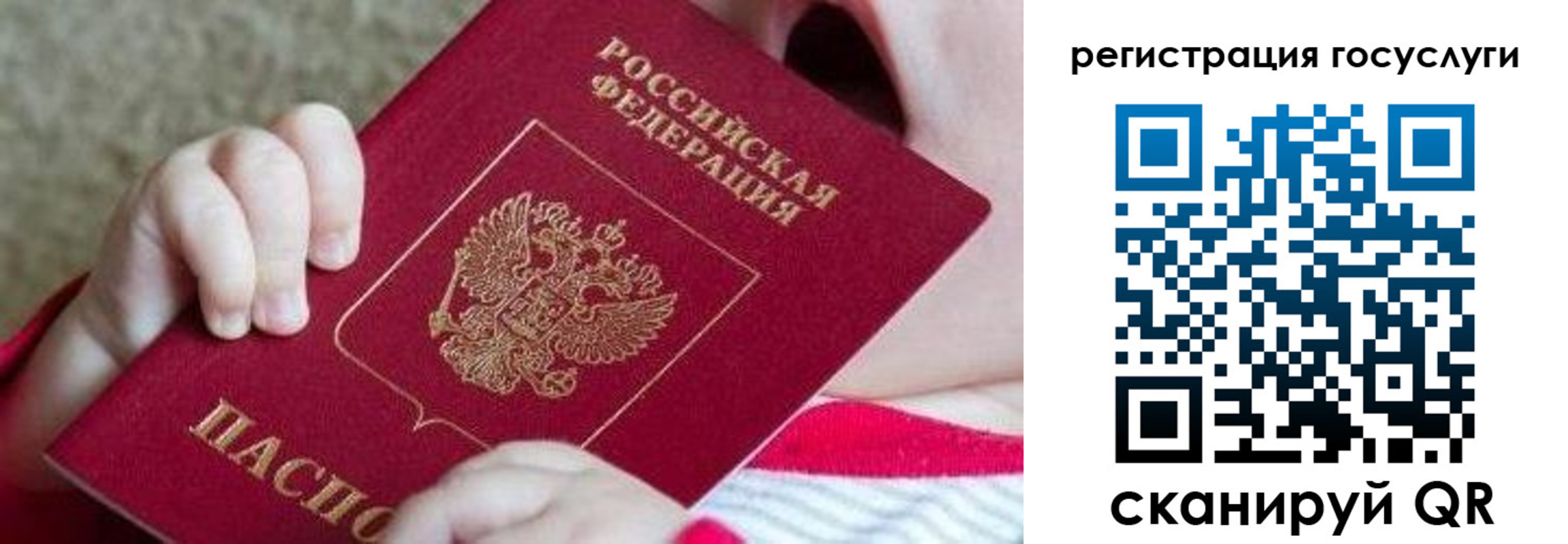 регистрация для школы в Нелидово